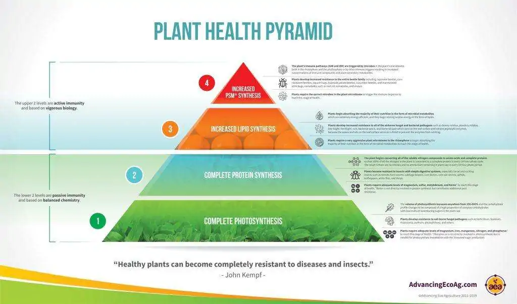 John kempfs Plant Health Pyramid
