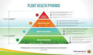 John kempfs Plant Health Pyramid