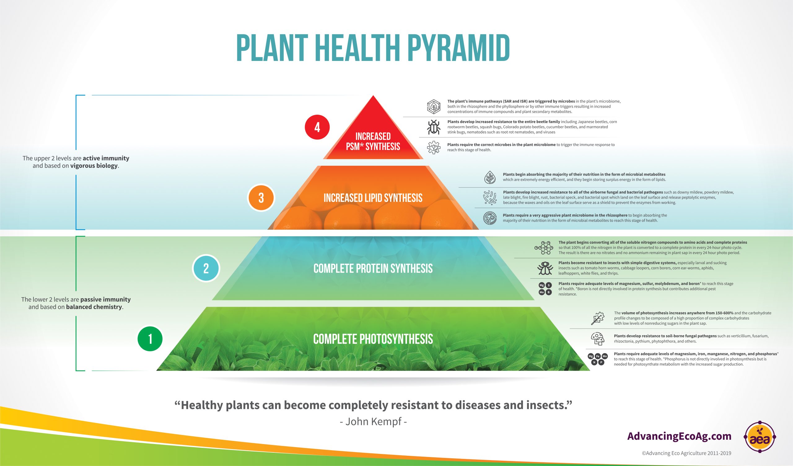 John kempfs Plant Health Pyramid