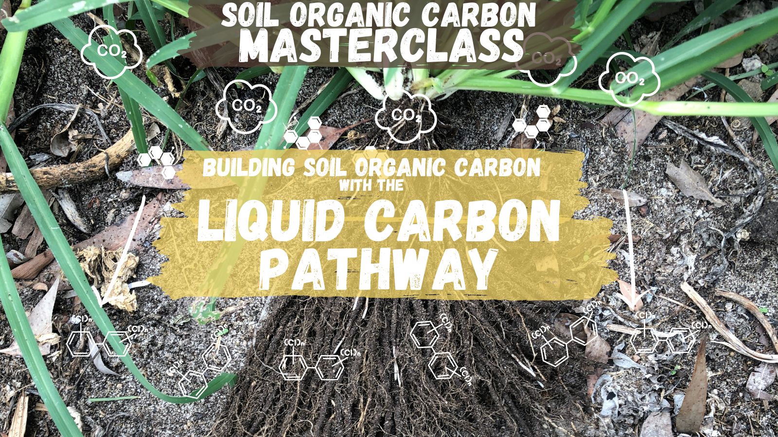 liquid carbon soil organic carbon 3