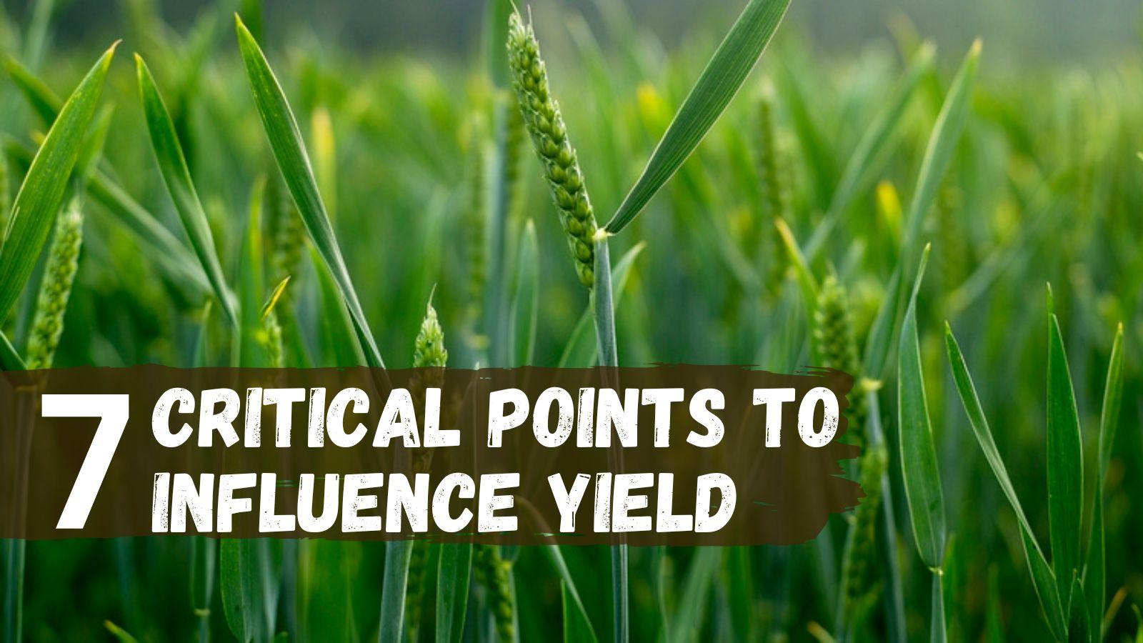 7 critical points to influence yield kempf