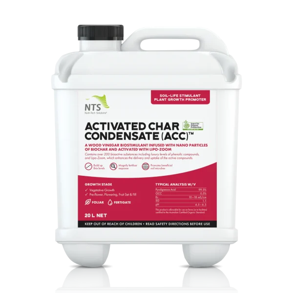 NTS_20L_ActivateCharCondensate-ACC_NOV24_5c220e99-9040-49a1-932a-a20b00988fb3