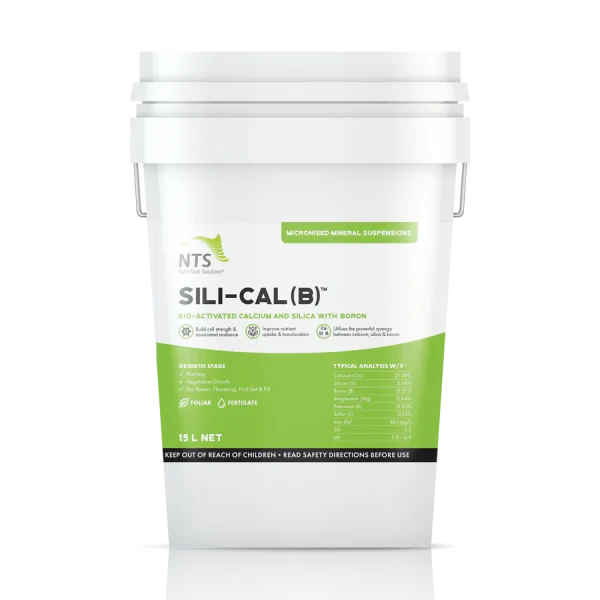 Sili-Cal-B_15_L
