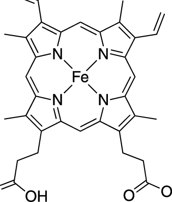 Structure-of-the-heme-group