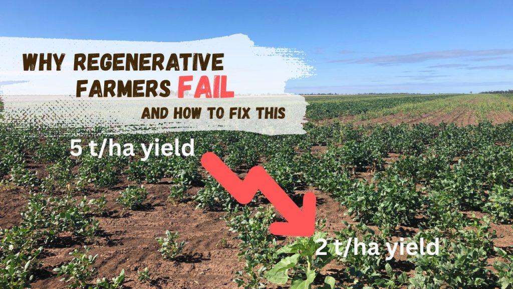 Why Regenerative Farmers Fail (3)
