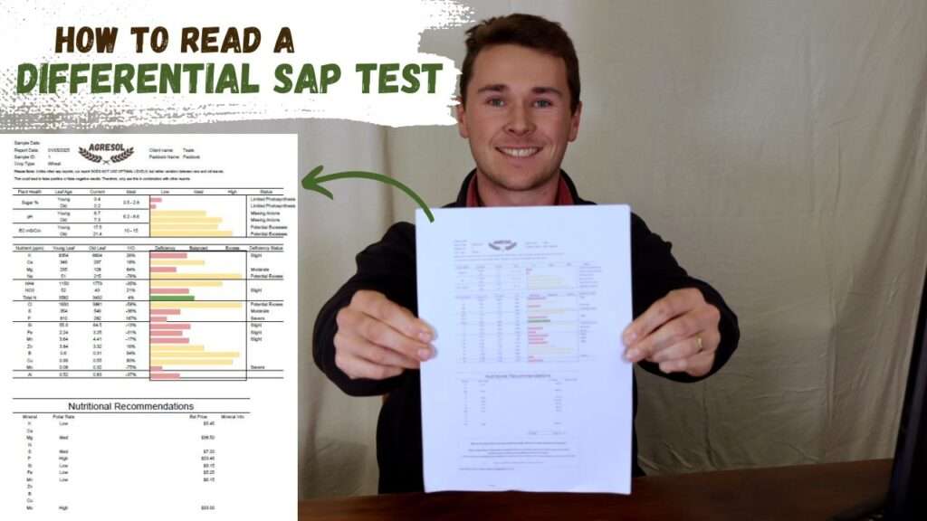 Differential Sap Tests - How To Interpret