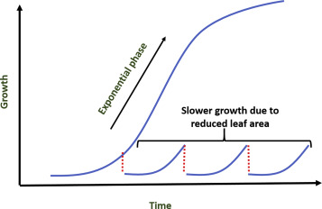building soil carbon with livestock