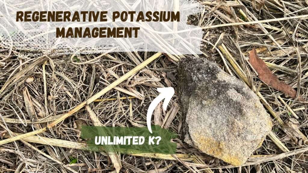 Regenerative Potassium Management (3)