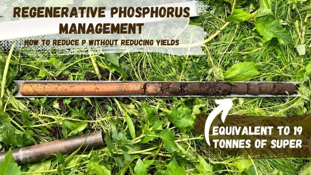 Regenerative phosphorus management (2)