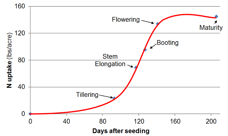 Wheat_nitrogen uptake curve