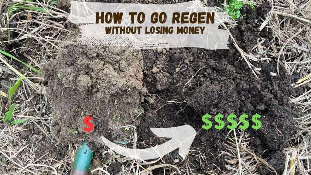 How to go regen without losing money (2)