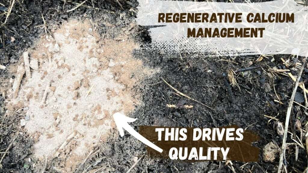 Regenerative Calcium Management