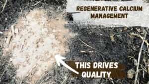 Regenerative Calcium Management