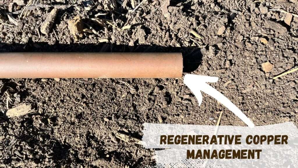 Regenerative Copper Management (1)