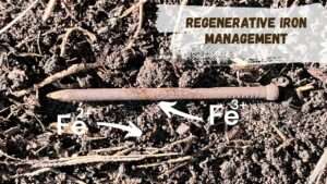 Regenerative Iron Management