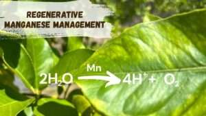 regenerative manganese management