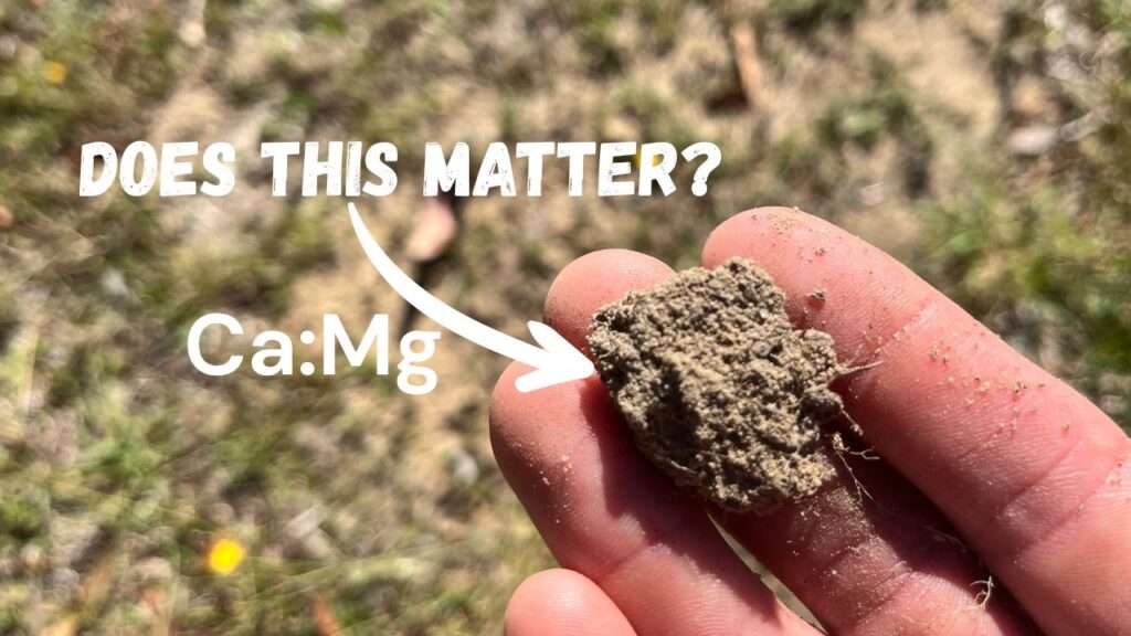 Does the Calcium Magnesium Ratio Matter