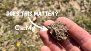 Does the Calcium Magnesium Ratio Matter