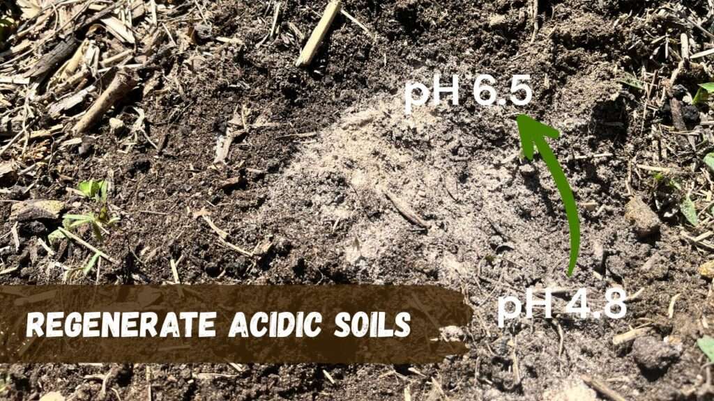 Regenerate Acidic Soils