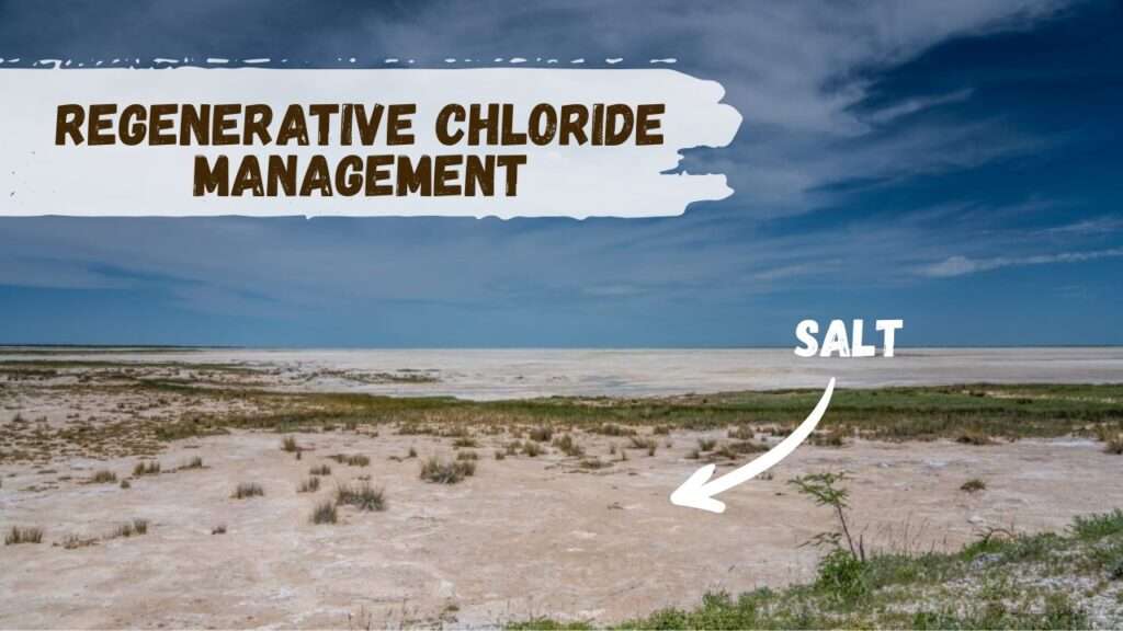 Regenerative Chloride Management (2)