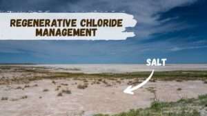 Regenerative Chloride Management (2)