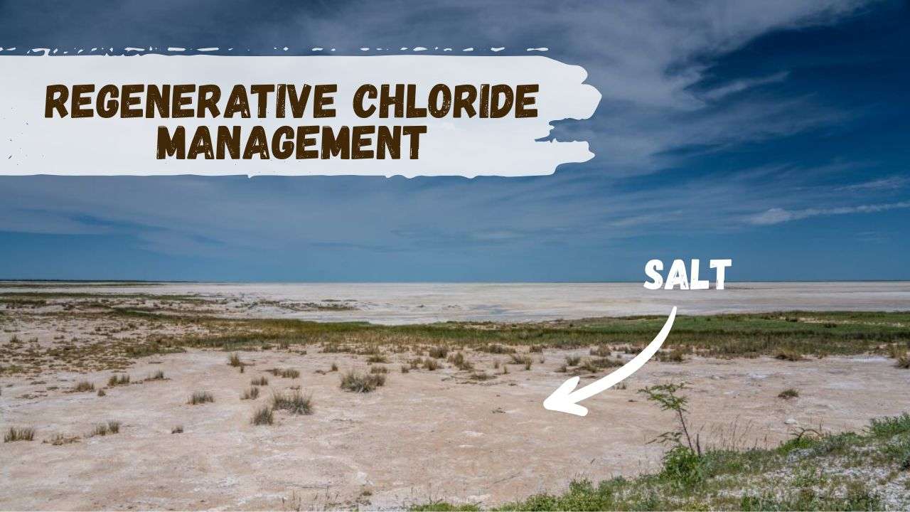 Regenerative Chloride Management (2)