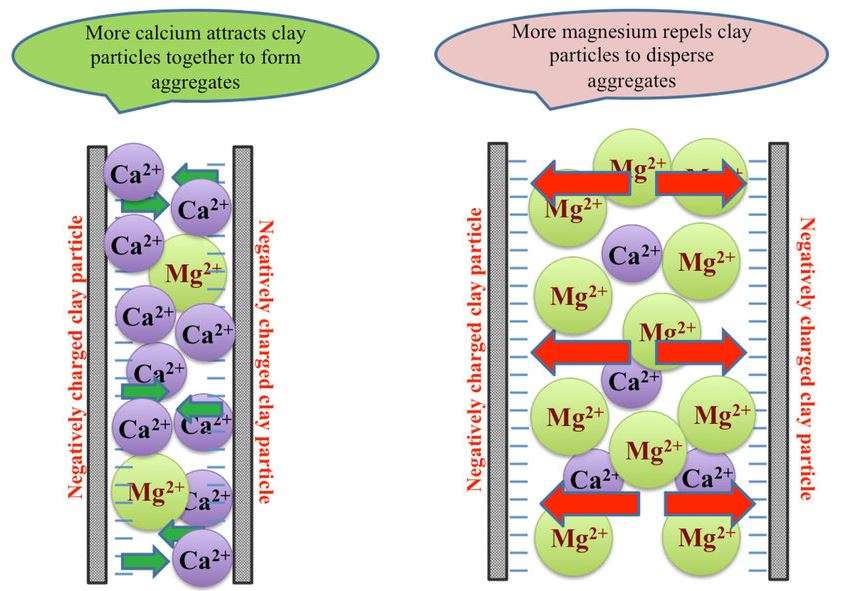 ca mg ratio diagram