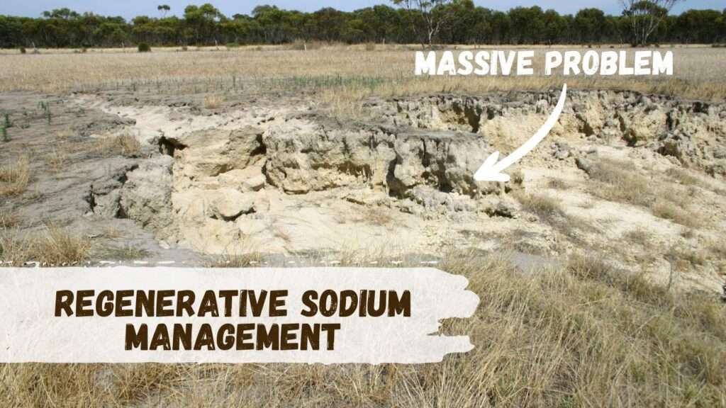 regenerative sodium management (2)