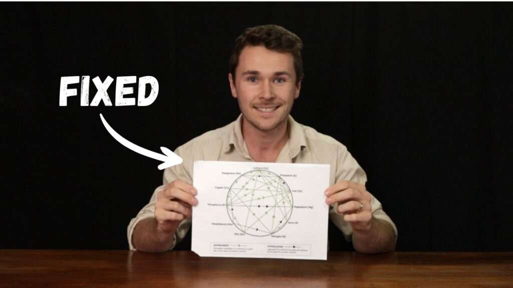Plant Nutrient Interactions
