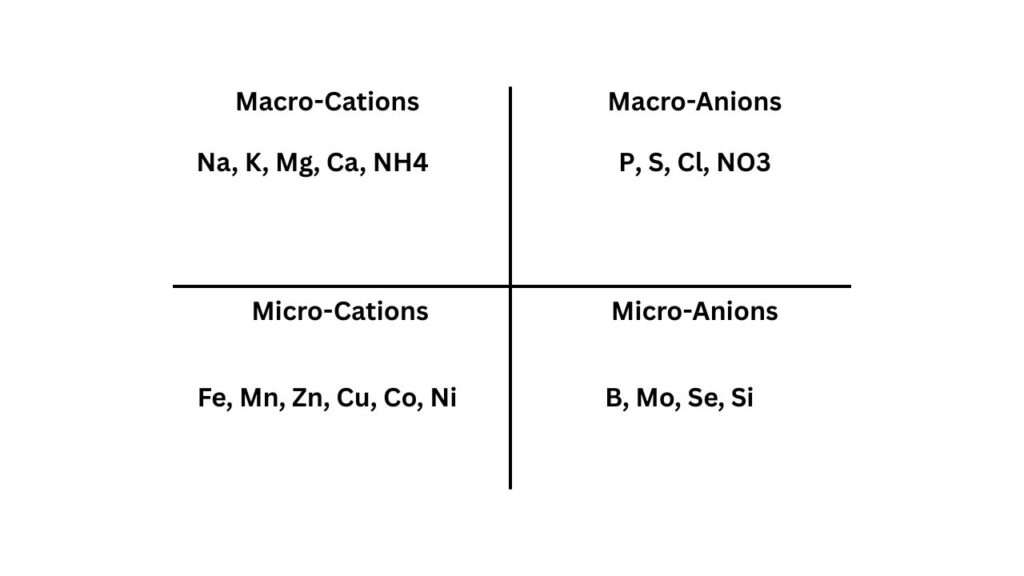 Plant nutrient interactions