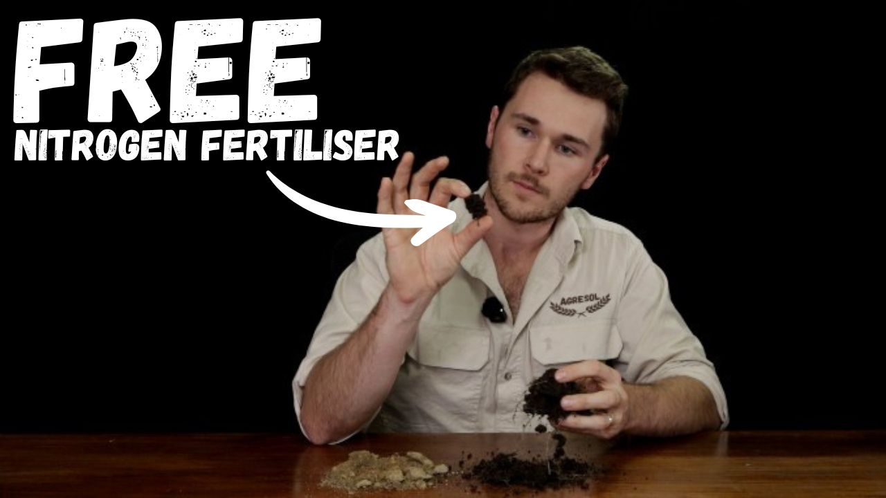 Free nitrogen fertiliser (2)