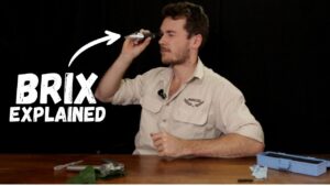 Plant Brix Explained