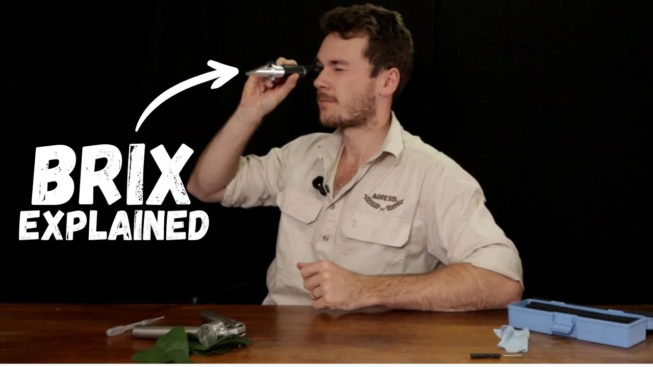 Plant Brix Explained
