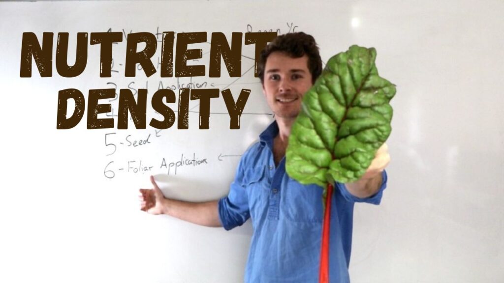 How to Grow Nutrient Dense Food