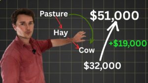 problem with hay