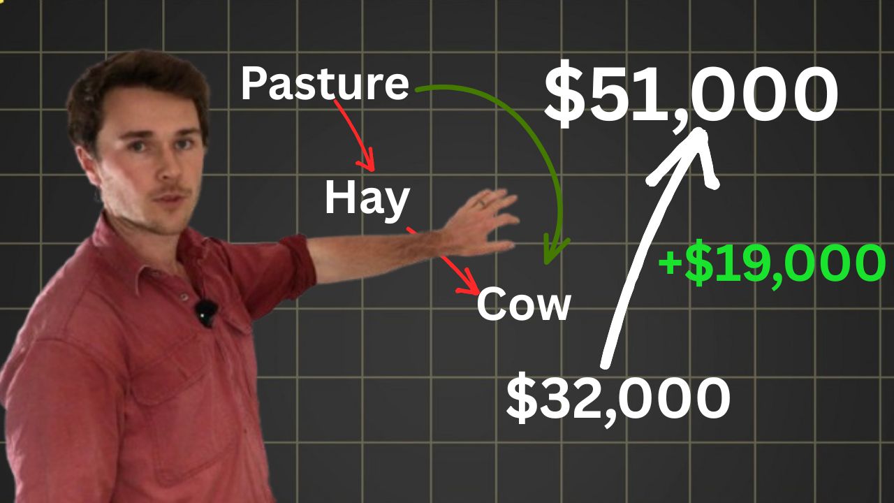 problem with hay