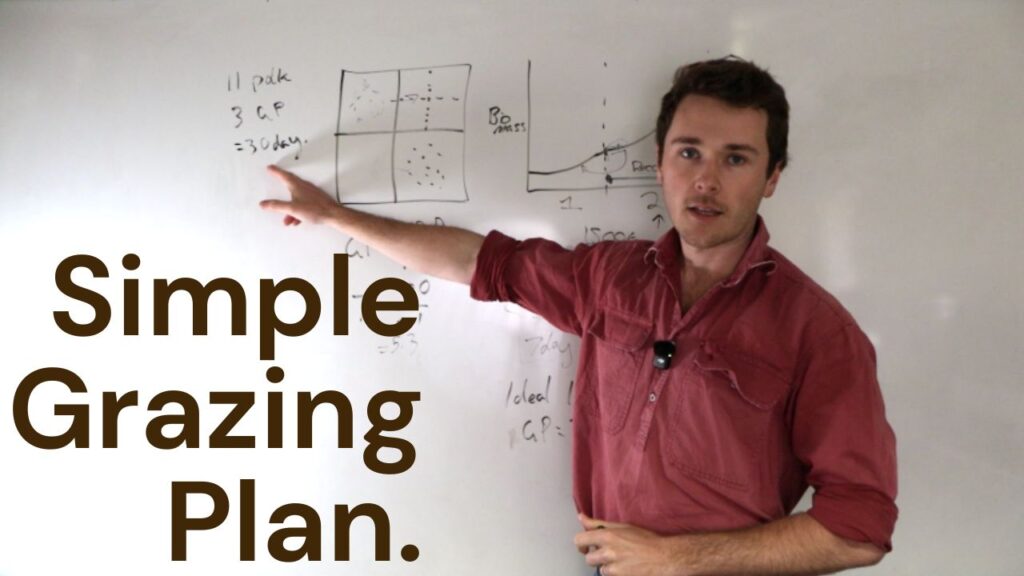 simple regenerative grazing plan