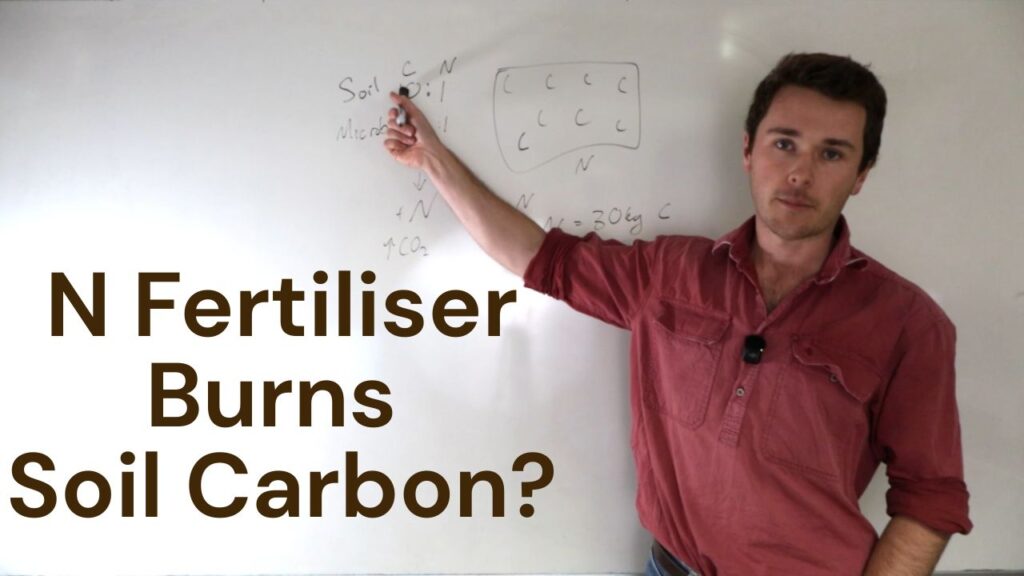 Nitrogen Burn Soil Carbon