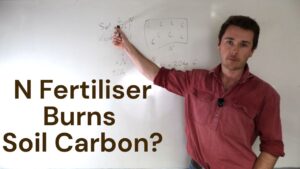 Nitrogen Burn Soil Carbon
