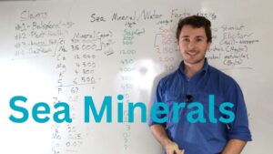 Sea Mineral Fertiliser