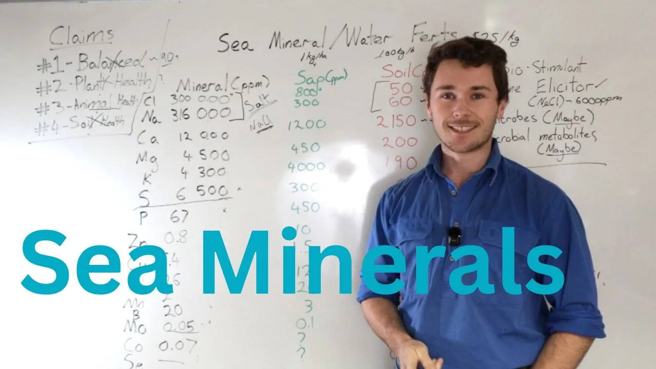 Sea Mineral Fertiliser