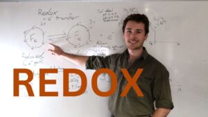 soil and plant redox (2)