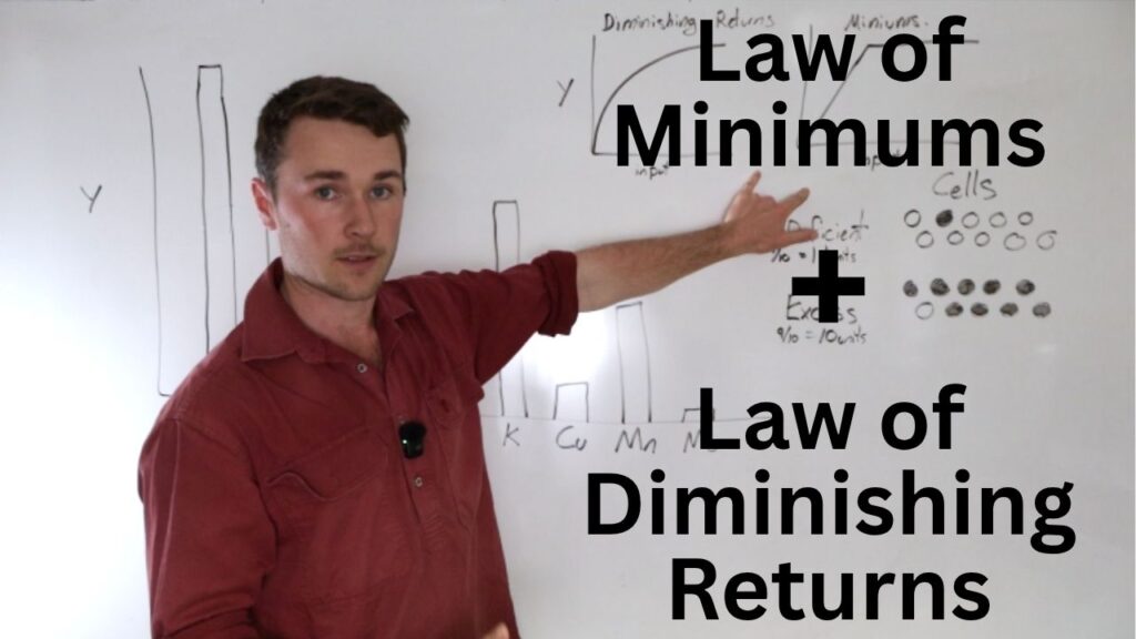Law of Minimums Diminishing Returns