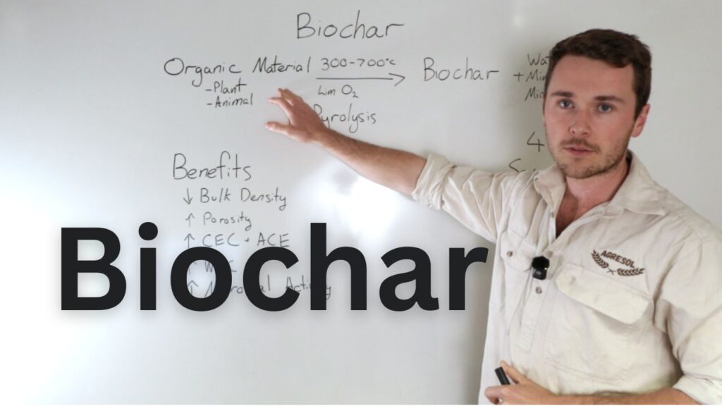 biochar