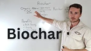 biochar