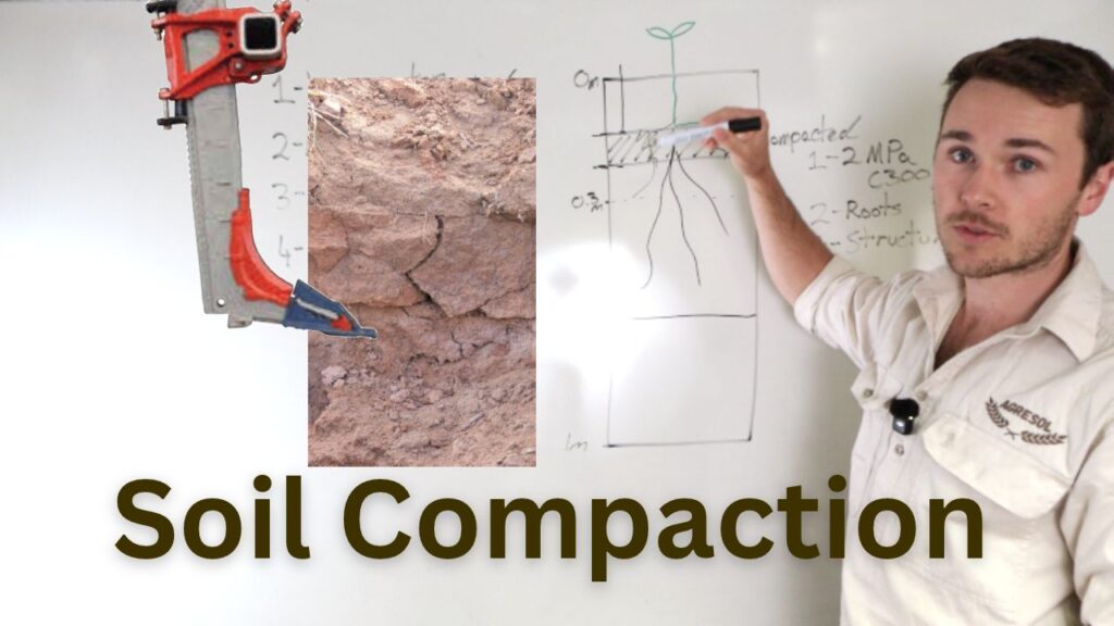 Soil Compaction