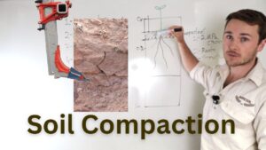 Soil Compaction